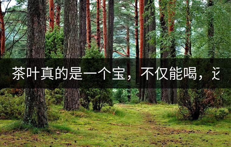 茶葉真的是一個寶，不僅能喝，還能用！