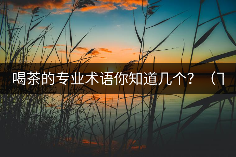 喝茶的專業(yè)術(shù)語你知道幾個(gè)？（下篇）