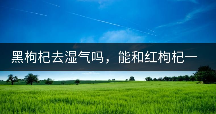 黑枸杞去濕氣嗎，能和紅枸杞一起泡嗎？