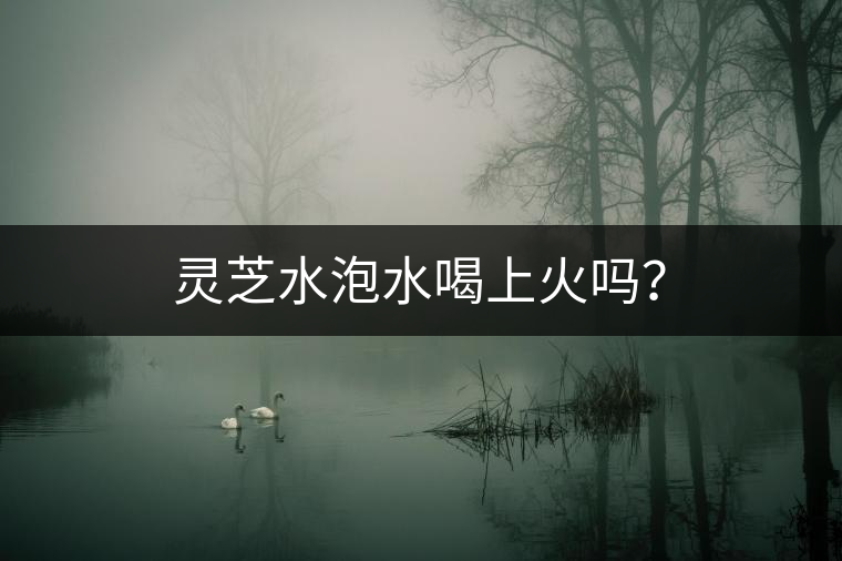 靈芝水泡水喝上火嗎？