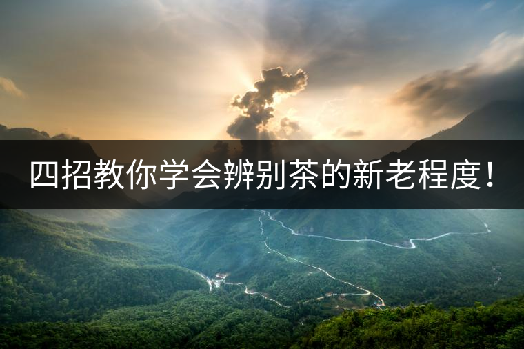 四招教你學(xué)會辨別茶的新老程度！