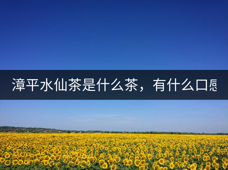 漳平水仙茶是什么茶，有什么口感特點(diǎn)！