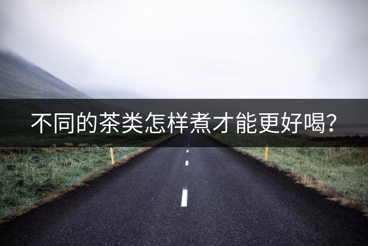 不同的茶類怎樣煮才能更好喝？