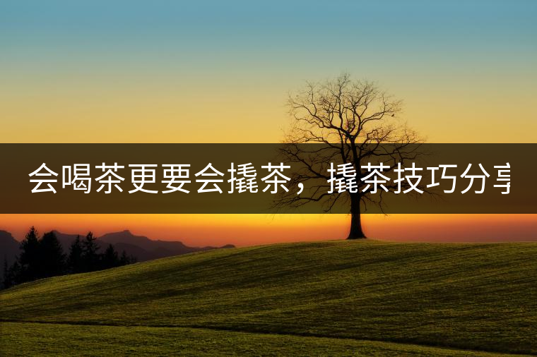 會喝茶更要會撬茶，撬茶技巧分享！