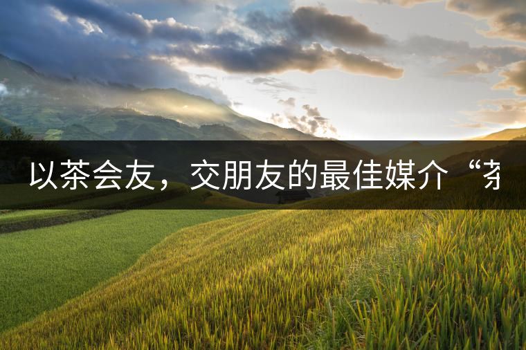 以茶會(huì)友，交朋友的最佳媒介“茶”！