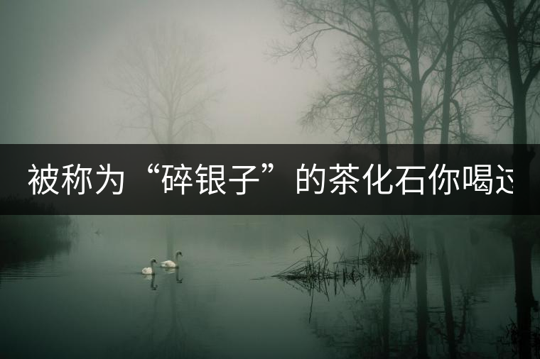 被稱為“碎銀子”的茶化石你喝過嗎？