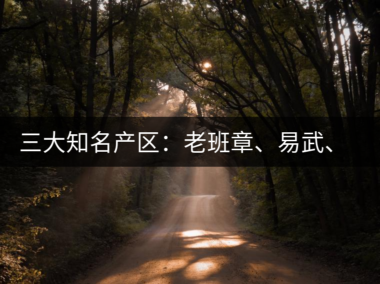 三大知名產(chǎn)區(qū)：老班章、易武、景邁三大茶系都有哪些特點(diǎn)！