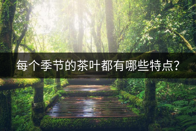 每個(gè)季節(jié)的茶葉都有哪些特點(diǎn)？