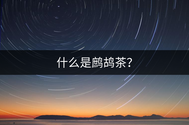 什么是鷓鴣茶？