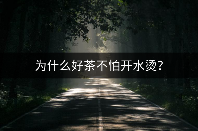 為什么好茶不怕開水燙？