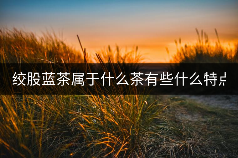 絞股藍(lán)茶屬于什么茶有些什么特點(diǎn)？