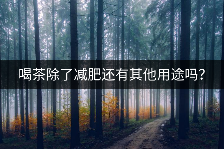 喝茶除了減肥還有其他用途嗎？