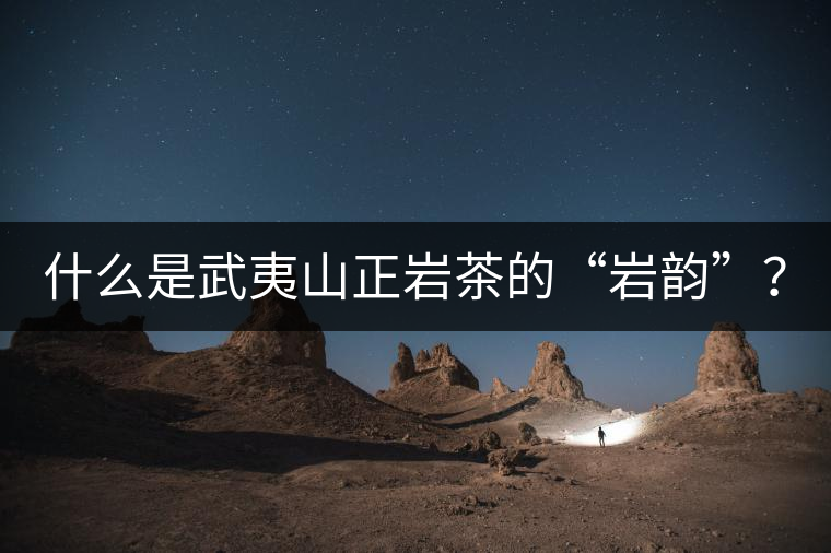 什么是武夷山正巖茶的“巖韻”？