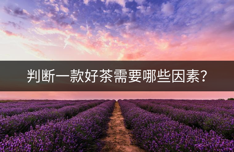 判斷一款好茶需要哪些因素？