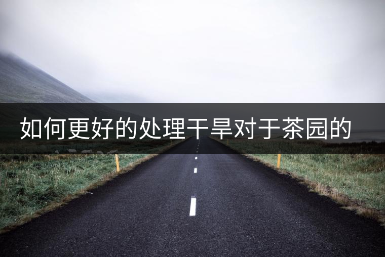 如何更好的處理干旱對(duì)于茶園的影響？