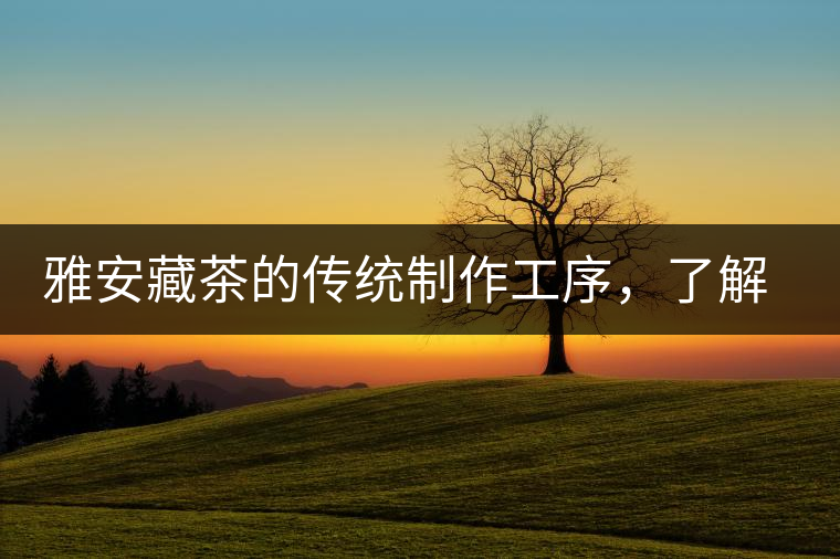 雅安藏茶的傳統制作工序，了解了傳統技藝才能更好的了解茶品！