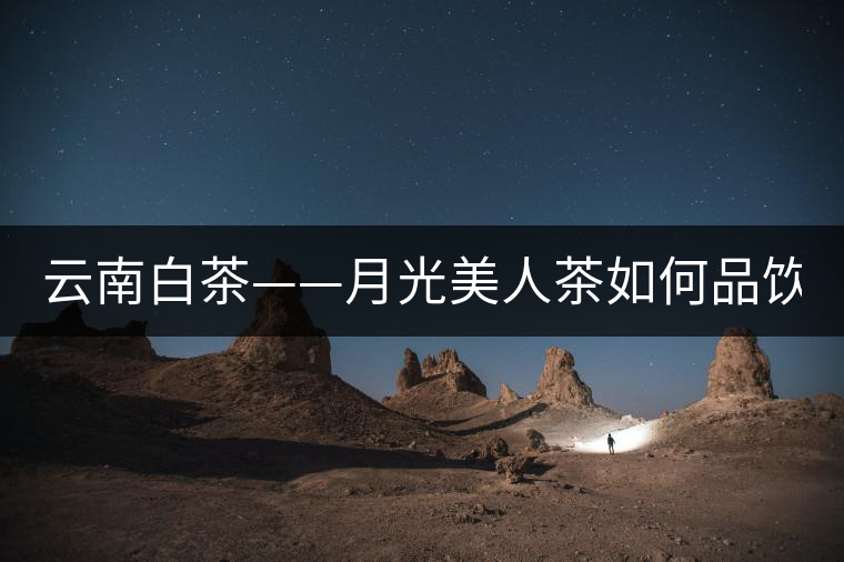 云南白茶——月光美人茶如何品飲？