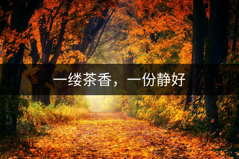 一縷茶香，一份靜好