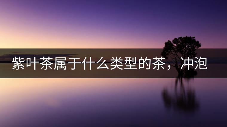 紫葉茶屬于什么類型的茶，沖泡需要注意什么？