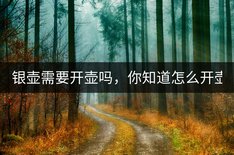 銀壺需要開(kāi)壺嗎，你知道怎么開(kāi)壺？