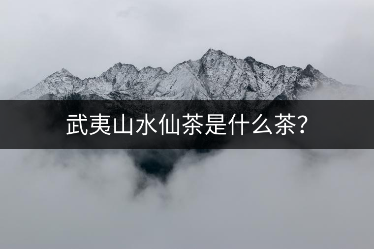 武夷山水仙茶是什么茶？