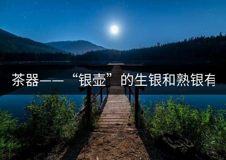 茶器——“銀壺”的生銀和熟銀有什么區(qū)別嗎？