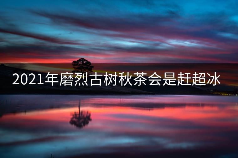 2021年磨烈古樹秋茶會是趕超冰島的存在嗎？