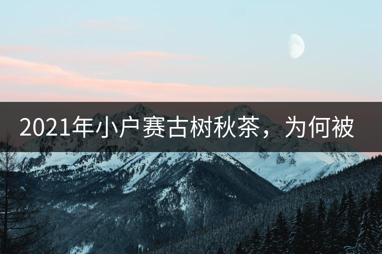 2021年小戶賽古樹秋茶，為何被稱為賽冰島？