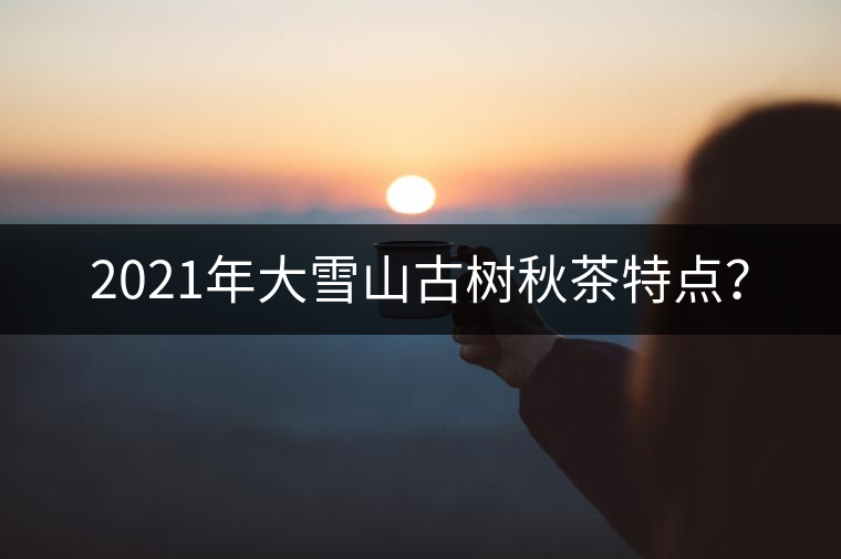 2021年大雪山古樹秋茶特點(diǎn)？