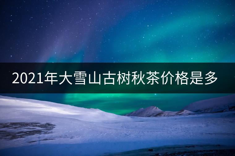2021年大雪山古樹(shù)秋茶價(jià)格是多少？