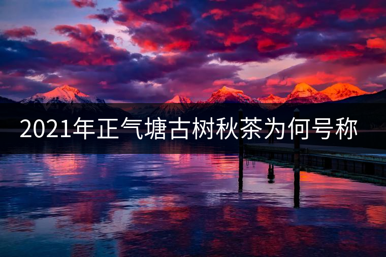 2021年正氣塘古樹秋茶為何號稱小冰島？