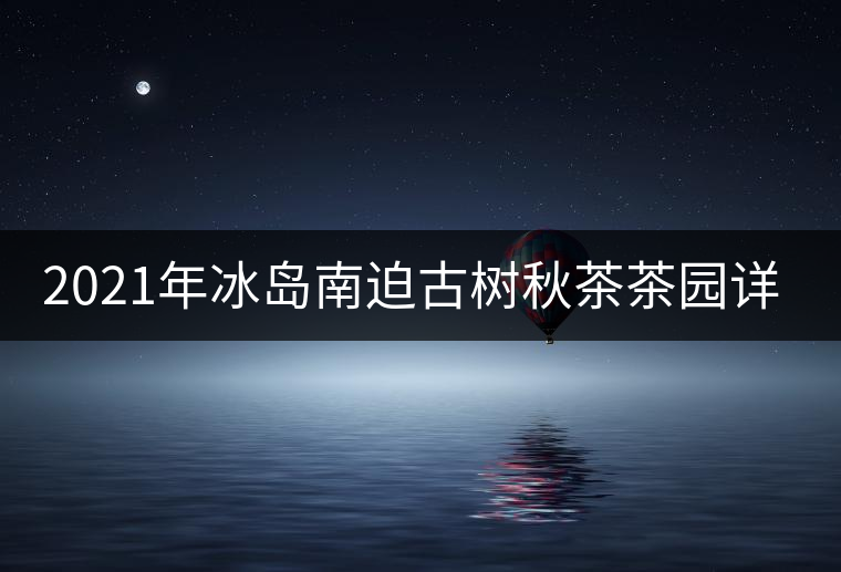 2021年冰島南迫古樹秋茶茶園詳解！