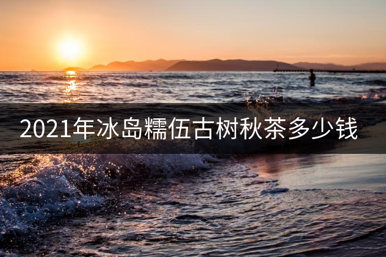 2021年冰島糯伍古樹秋茶多少錢一公斤？