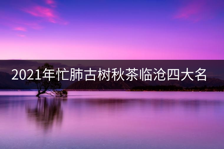 2021年忙肺古樹秋茶臨滄四大名茶之一！
