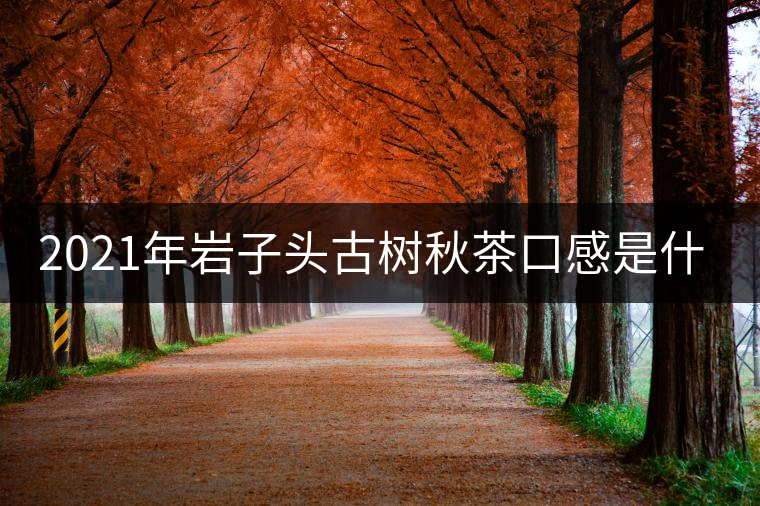 2021年巖子頭古樹秋茶口感是什么？