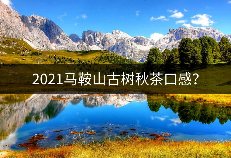 2021馬鞍山古樹秋茶口感？