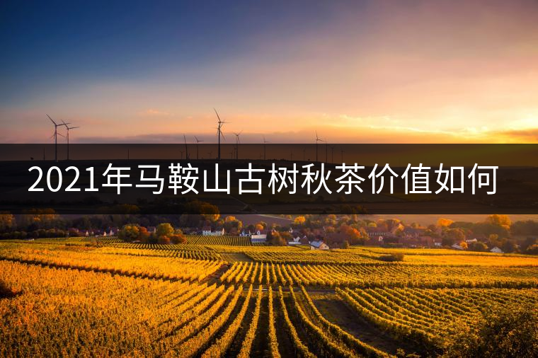 2021年馬鞍山古樹秋茶價(jià)值如何？