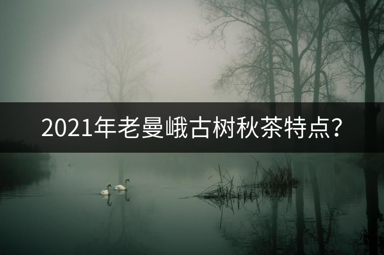 2021年老曼峨古樹秋茶特點？