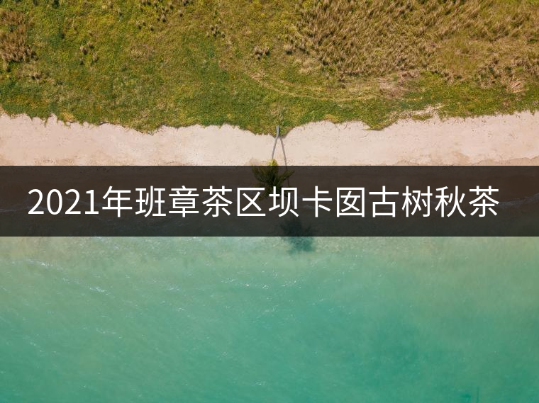 2021年班章茶區(qū)壩卡囡古樹秋茶多少錢一公斤？