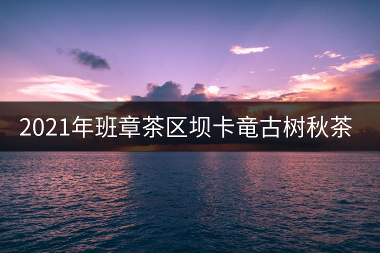 2021年班章茶區(qū)壩卡竜古樹秋茶多少錢一公斤？