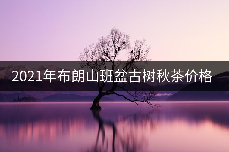 2021年布朗山班盆古樹秋茶價格？