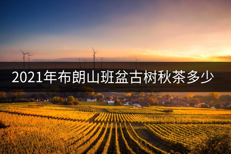 2021年布朗山班盆古樹(shù)秋茶多少錢(qián)一公斤？