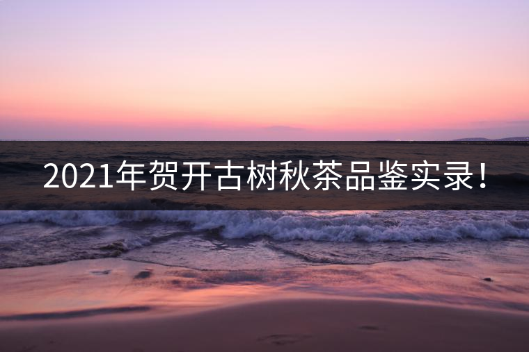 2021年賀開古樹秋茶品鑒實(shí)錄！