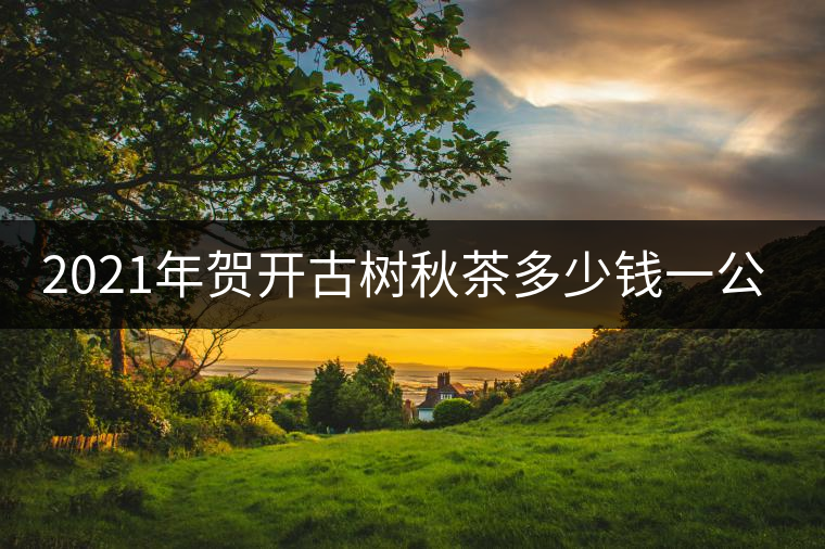 2021年賀開古樹秋茶多少錢一公斤？