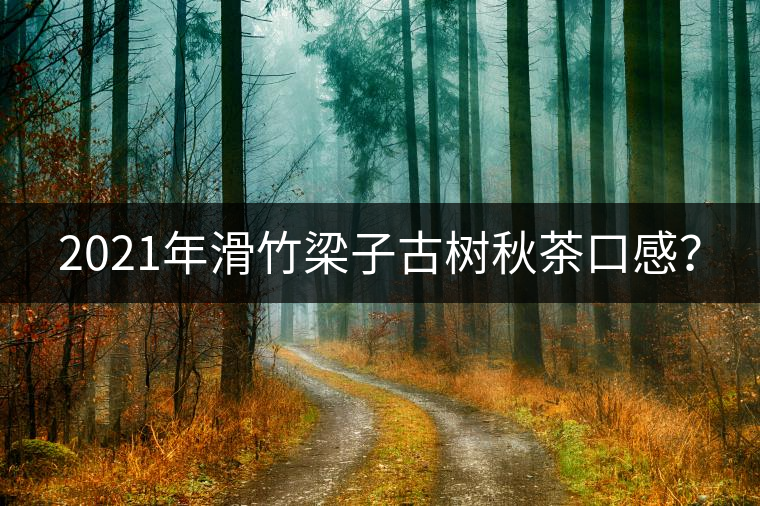 2021年滑竹梁子古樹秋茶口感？