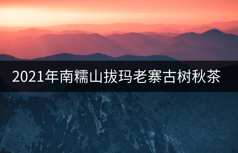 2021年南糯山拔瑪老寨古樹秋茶價(jià)格？
