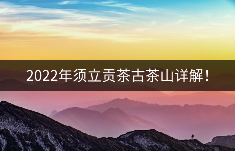 2022年須立貢茶古茶山詳解！