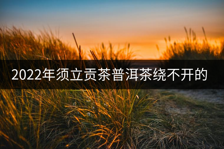 2022年須立貢茶普洱茶繞不開(kāi)的古茶山！