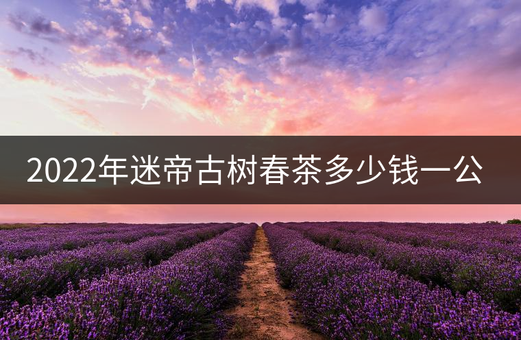2022年迷帝古樹春茶多少錢一公斤？