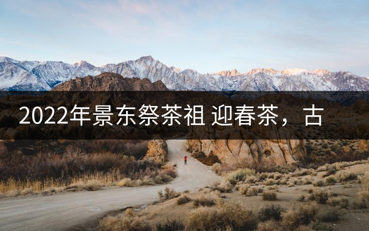 2022年景東祭茶祖 迎春茶，古樹春茶多少錢一公斤？